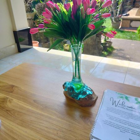 Dika Accommodation Ubud Luaran gambar